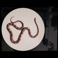 Snake Turntable Slipmat